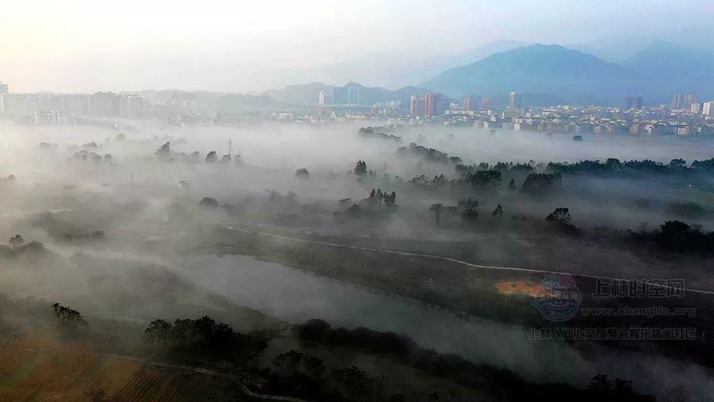 盐和避难所