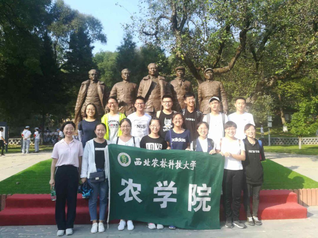 面条怎么做才好吃做法游戏画面